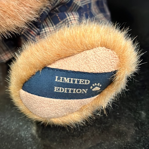 Boyd’s Bear - "Faye O. Bearsly" Limited Edition - Best Dressed Series - Picture 6 of 9